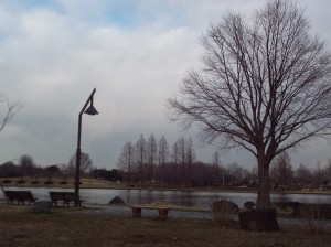 公園の風景(水辺)