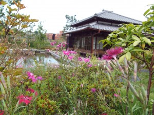 建物と花